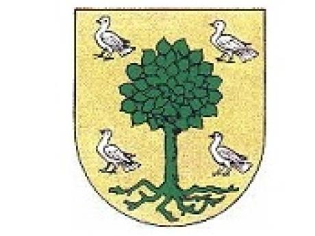 HET BESTE VAN WIJHE